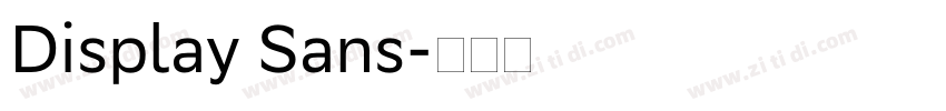 Display Sans字体转换 Display Sans字体转换